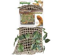 Penn-Plax Reptology Lizard Lounger with Vines for Bearded Dragons, Iguanas, and Other Reptiles, 500 g