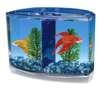 Penn-Plax Twin Betta Bow-Front Kit for Aquarium Blue, Green, Tank is 7.5" Across The Front, 6" Across The Back