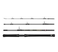 Penn Regiment IV Boat Travel Rod, Saltwater Angler Fishing Sea Fish Cod, Sea Eel, Bass, Pollock, Mackerel, Shark, Strong Leightweight & Versatile, Silver, 2.10m Fast Ambidextrous Rod