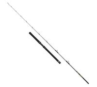 Penn Spinning Rod Regiment IV Halibuster – Saltwater, 2.40m, 20-30 lb, Silver, Fast Action