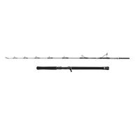 Penn Regiment IV Jig Cast Rod, Saltwater Angler Fishing Sea Fish Cod, Sea Eel, Bass, Pollock, Mackerel, Shark, Strong Leightweight & Versatile, Silver, 1.84m Fast Ambidextrous Rod