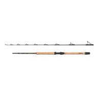 Penn Regiment IV Pro Boat Rod, Saltwater Angler Fishing Sea Fish Cod, Sea Eel, Bass, Pollock, Mackerel, Shark, Strong Leightweight & Versatile, Silver, 2.10m Fast Ambidextrous Rod