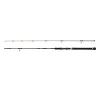Penn Regiment Iv Spin/pilk Spinning Rod Silver 2.40 m / 50-150 g
