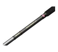 Penn Spinning Rod Regiment IV Uptide – Silver, 3.04 m, 70-300 g, Saltwater, Fast Ambidextrous