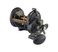 Penn Squall II Star Drag Conventional Fishing Reel, SQLII40SD,Black Gold