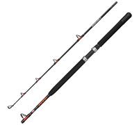 Penn Warfare II Boat Rod 6' 30lb