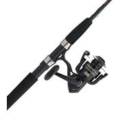 Penn Wrath II Spinning Reel and Fishing Rod Combo