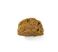 PENNELLIFICIO 2000 | Natural Mediterranean Sea Sponge, Sponge for Decorative Wall Effects, Diameter 14 cm, 1st Quality Products