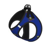 Pennsylvania State Flag Pet Leash Vest For Small Dogs Cats Reflective Adjustable Soft Outdoor Walking Hiking Training