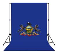 Pennsylvania State Flag Print 5x7ft Backdrop Curtain With Hanging Pocket Back Drop Photography Accessories For Live Streaming