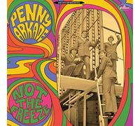 Penny Arkade - Not The Freeze [VINYL]