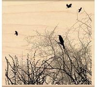 Penny Black PB4204L Penny Black Rubber Stamp 4 in. x 4.5 in.-Winter Sky