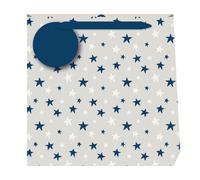 Penny Kennedy Linen Astros Indigo Medium Gift Bag