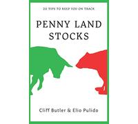 Penny Land Stocks: 20 Tips to keep you on track