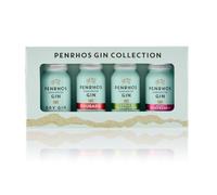 Penrhos - Gin Gift Pack - Multiple Flavours - London Dry, Rhubarb, Apple & Elderflower & Wonky Raspberry - Award-Winning Fruity Artisan Gins, 100% Wonky Fruit, Recycled Aluminium Bottles - 4 x 5cl