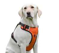 PenSeepet Dog Harness No Pull Dog Harness with 2 D-Ring,Adjustable Reflective Soft Padded Dog Vest Oxford Vest and Handle for Large Dogs Orangs,L