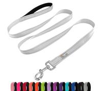 PenSeepet Dog Leash 6 FT Padded Handle Nylon Reflective Dogs Leashes for Large Dogs Silver