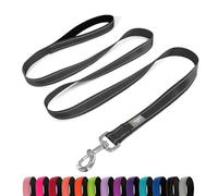 PenSeepet Dog Leash 6 FT Padded Handle Nylon Reflective Dogs Leashes for Medium Dogs Black