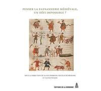 Penser la paysannerie médiévale, un défi impossible ?: Recueil d'études offert à Jean-Pierre Devroey