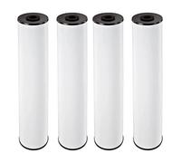 Pentair Pentek RFFE20-BB Big Blue Whole House Iron Reduction Filter