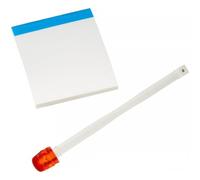 Pentax Image Sensor Cleaning Kit O-ICK1