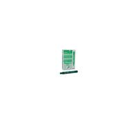 Pentel N 50 Bullet tip Green 12pc(s) permanent marker