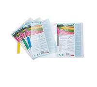 Pentel Recycology Clip File - Assorted, Pack of 10, DCB14/MIX