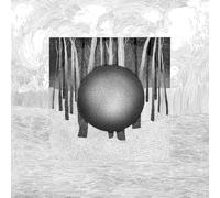 Penumbra Vortex - Phases [VINYL LP]