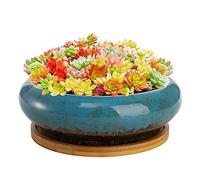 Peohud Succulent Planters Pot, 18cm Glazed Ceramic Bonsai Pots and Tray, Round Shallow Plant Pot with Drainage Hole, Flower Container Pots Garden Decorative Cactus Stand with Bamboo Tray, Blue