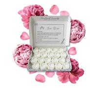 Peonie and Blush Suede Wax Melts| Strong Scented| 20 Pack| Luxury Gift Set Wax Melts| Over 96 Hrs Burn Time Per Box| Pet Friendly| Eco Friendly| Hand Poured in Staffordshire, UK (Peonie + Blush Suede)