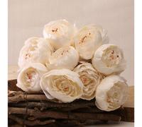 Peony Bunch Cream 40Cm - White