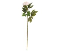 Peony Cream 2 Pack - White Artificial Flowers