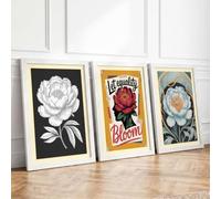 Peony Meditations Botanical Set of 3 Framed Wall Art Prints A2