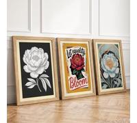 Peony Meditations Botanical Set of 3 Framed Wall Art Prints A4