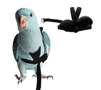 Peony Parrot Bird Harness and Leash, Adjustable Training Design Anti-Bite, Bird Nylon Rope with Cute Wing for Peony Parrot and Same Size Birds (M, Black)