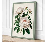 Peony Studies Botanical Canvas Wall Art Print 30x20 Inch (76 x 51 cm)
