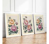 Peony Study Trio Botanical Set of 3 Framed Wall Art Prints A1