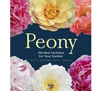 Peony: The Best Varieties for Your Garden