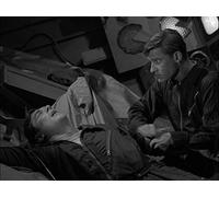 People Are Alike All Over