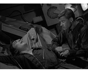 People Are Alike All Over