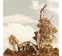 People Of The North - Steep Formations