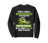 People Should Seriously Stop Expecting Normal from Me Dragon Sweatshirt