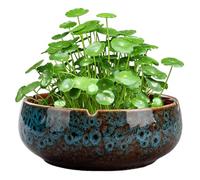 Peosaard Bonsai Potted Flower Pot, Lotus Bowl Planter, Blue Ceramic Non-Porous Hydroponic Container, Round Water Lily Succulent Household Simple Ceramic Basin/6.5x2.5 Inch
