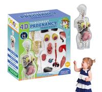 Peosaard Human Anatomy, Human Body Model for Kids 8.5 inch Removable Pregnant Woman Anatomy Model Plastic Early Learning Toy