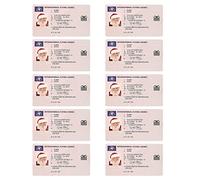 Peosaard Santa Claus Flying License Christmas Lost Flying Driving Licence for Xmas Ornament 10PCS Style3 Santa Claus Licence