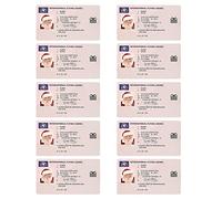 Peosaard Santa Claus Flying License Christmas Lost Flying Driving Licence for Xmas Ornament 10PCS Style3, Santa Claus Licence