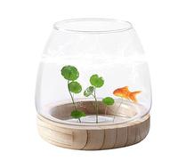 Peosaard Small Glass Vase, Small Fish Tank Glass Vase Fish Bowl Vases Hydroponic Transparent Plant Vases for Home Office Decor