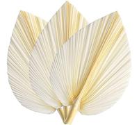 Peowuieu Large White Dried Palm Leaves - Premium Quality - 3 Pieces Elegant Modern and Wedding Decoration - Wall Art