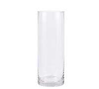 PEPAXON Glass Vase for Flower Tall Cylinder Clear Flower Vase (10x30cm)