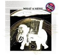 Pepe Bradock - What A Mess - Vinyl 2019 NEW & SEALED